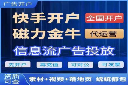 信息流广告代理项目案例分析